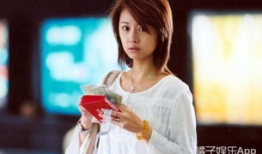 林心如电视剧男才女貌